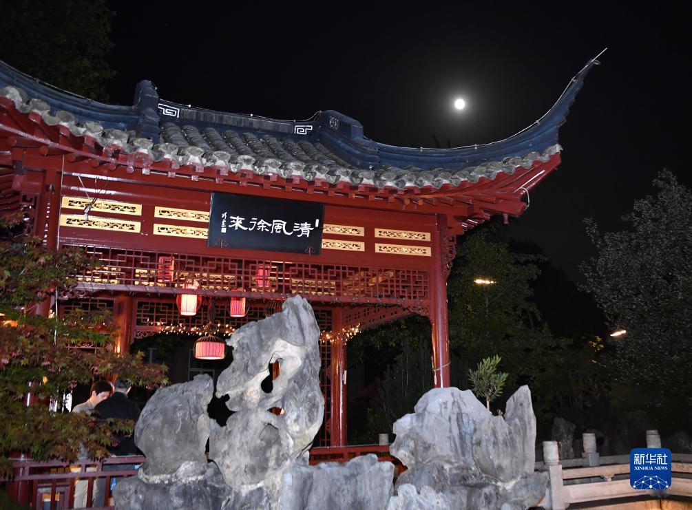 狗博是什么